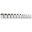 12 Piece E-Torx Socket Set